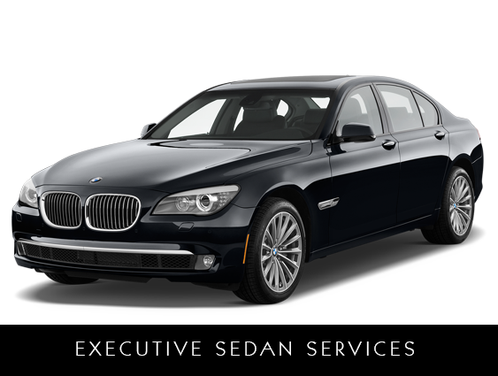 Twin Cities Executive Sedan Car Services