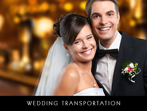 WEDDING LIMOUSINE SERVICE 	